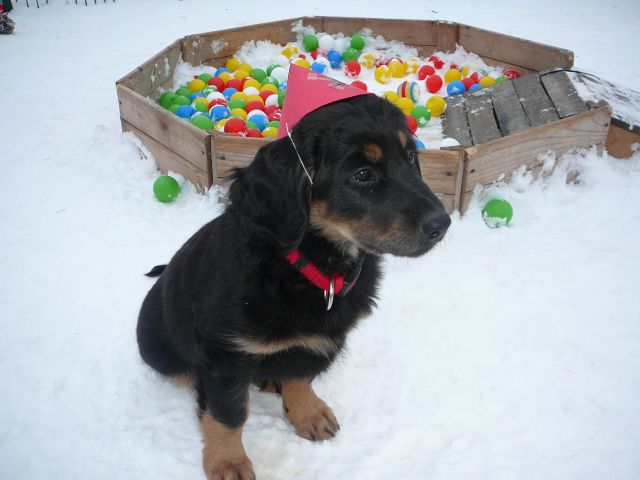 Finja